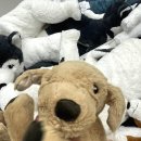 무지개 오락실 이미지