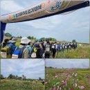 경기둘레길 화성47코스 | 경기둘레길 화성 걷기행사(화성 47코스 일부) 매향리 평화생태공원