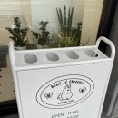 체리스 | 순천 신상카페 연향동 볼오브체리스 후기