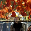 11650-17-196-36 | 눈, 물고기, 마늘로 가득한 생일 기념 단양 여행 ❄️🐠🧄 (w/ 300일 아기)