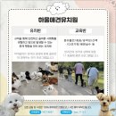 하울 애견 유치원 이미지