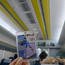 호반체육관 | 진에어 2025~2026 V-리그 올스타전 직관 후기