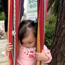 숲들내캠핑장 이미지