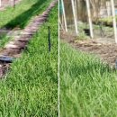 박인자농장 이미지