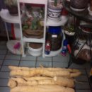 뿌리마트 이미지