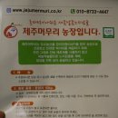 제주머무리 이미지