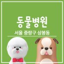 닥터아이펫 동물병원 | 서울 중랑구 상봉동 동물병원 리스트 | 연락처 진료시간 | 진료비 상담 안내 | 주말 진료 | 미용