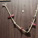 한아름산후조리원 이미지