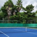 서귀포테니스장(실외) 이미지