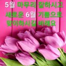 주차54 이미지