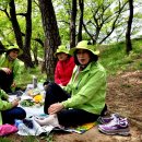 소풍 이미지