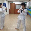 용인대 한신 태권도 이미지