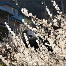 지리산이야기 이미지