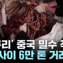 재사용 가치 높은 '폐구리' 줄줄...중국 밀수출 적발 이미지