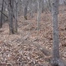 주봉농장 이미지