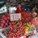 굴왓공원 이미지