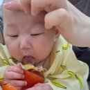 신기마트 | 안산 롯데마트 문화센터 신기한 오감 점프베베 3회차 후기, 일상