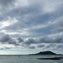 파리바게뜨 인천한림점 | 4박5일 같았던 2박 3일 제주여행 DAY1