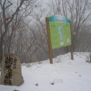 백두오리