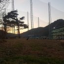 새미스포렉스 이미지