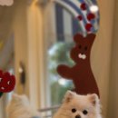 무병짱수 이미지