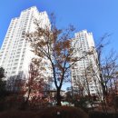 아름동_범지기1013동 이미지