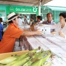 농협살미 이미지