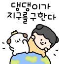 댕집 이미지