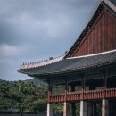 소양강닭갈비 - 당진시 | 소양강닭갈비