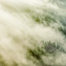 척지노모당 | 쉽살재빙, 김정희金正喜 '오수午睡'