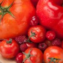 토마토 수영장 이미지