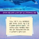고래세상 이미지