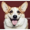 똘똘이농장 이미지