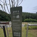 자연에펜션 | 동탄 무봉산 자연휴양림 펜션 1박 후기, 산림자연체험관까지 즐겼어요