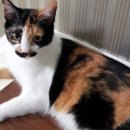 (주)우리노리 이미지