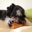 세븐네이쳐 이미지