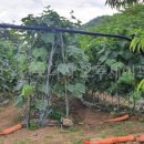 생곡리농장 이미지