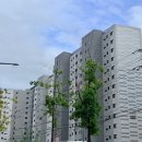 신흥물산 - 창원시 의창구 사림로111번길 10-10 | 토허제 적용안되는 수원 권선구 신축 아파트 | 매교역 팰루시드 임장 후기