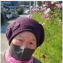 가정복지행복센터 이미지