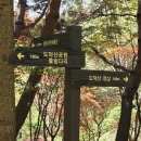 광문초등학교 | 광명 도덕산 출렁다리, 등산 초보 등린이도 2시간이면 완주하는 서울근교 등산코스
