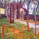 GS25 장항솔바람점 이미지