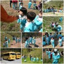 숲속하늘 유치원 이미지