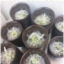 정겨운한식뷔페 이미지