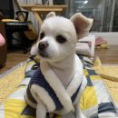 이.옷이쁜옷장