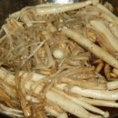 송이애견 이미지