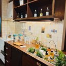 협재올레 이미지