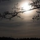 대관령주막집 이미지