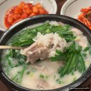 동문장수국수 | [제주]노형동 어린이국수 무료 8시간이상 우려낸 고기국수 돼지국밥맛집 "장수국수"