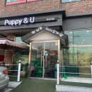 퍼피앤유 이미지