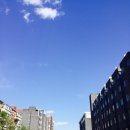 호동당구장 이미지